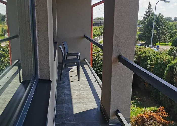 Saules Клайпеда